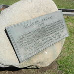 Clover-field-1919-6968