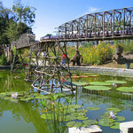 Atlanta-botanical-garden-738