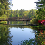 Callaway-gardens-733