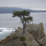 17-mile-drive-1077