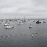Monterey-1075
