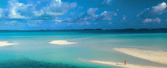 Marquubrands videoposter low