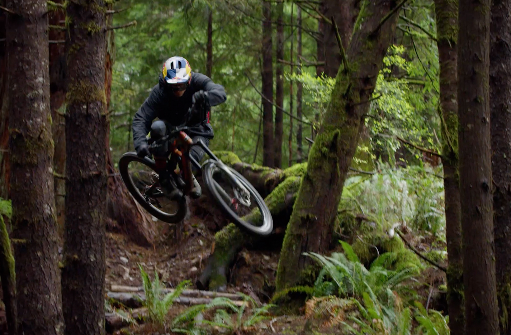 Dakine Marquee Brands