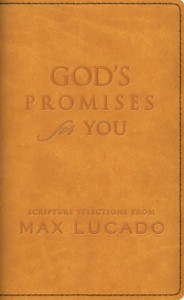 GodsPromisesForYouL_L