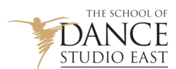 Dance Studio East Professional Division