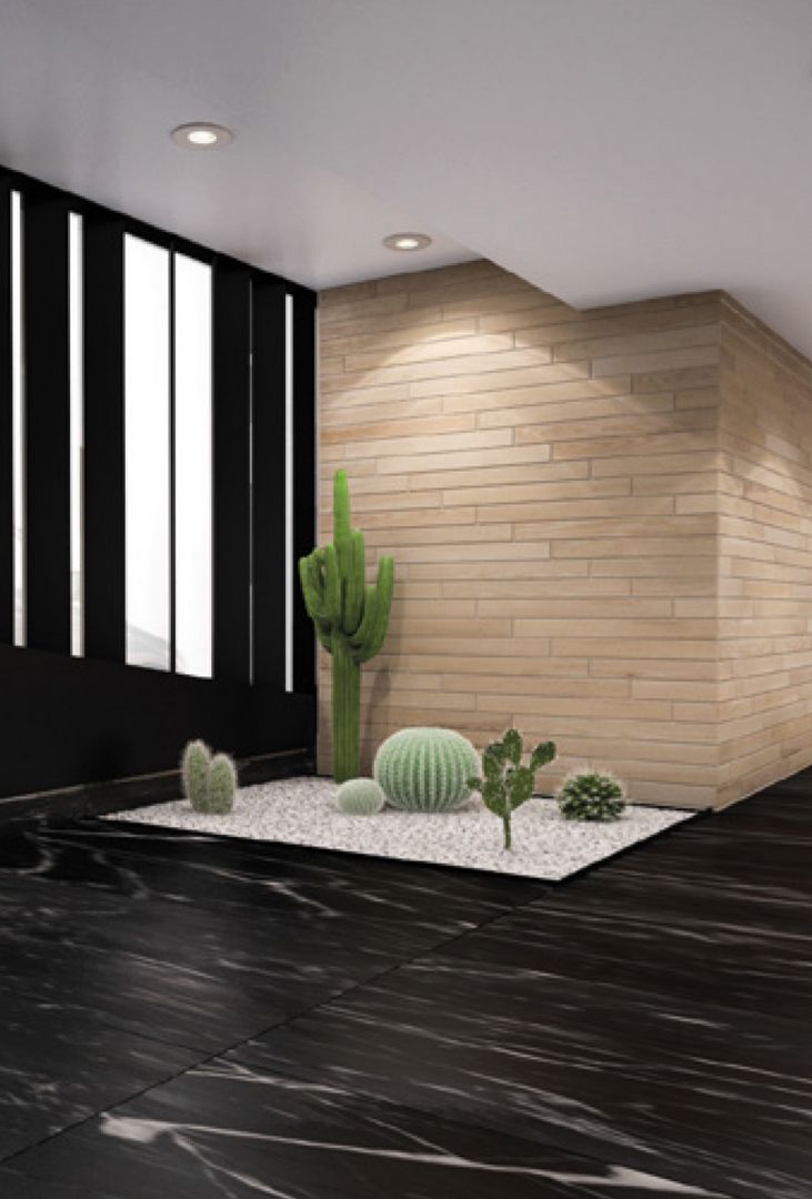 PLANTAS AREAS VERDES ADORNOS DECORACION DESARROLLO INMOBILIARIO SOLON DEPARTAMENTOS EN POLANCO MIGUEL HIDALGO CDMX PLANTAS AREAS VERDES ADORNOS DECORACION DESARROLLO INMOBILIARIO SOLON DEPARTAMENTOS EN POLANCO MIGUEL HIDALGO CDMX