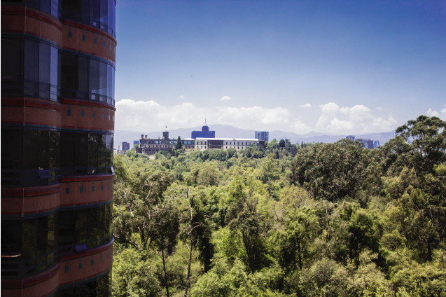 Ventanas con Vista al Bosque y Castillo de Chapultepec Residencial Del Bosque Polanco Ventanas con Vista al Bosque y Castillo de Chapultepec Residencial Del Bosque Polanco