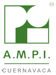 AMPI_2020.PNG