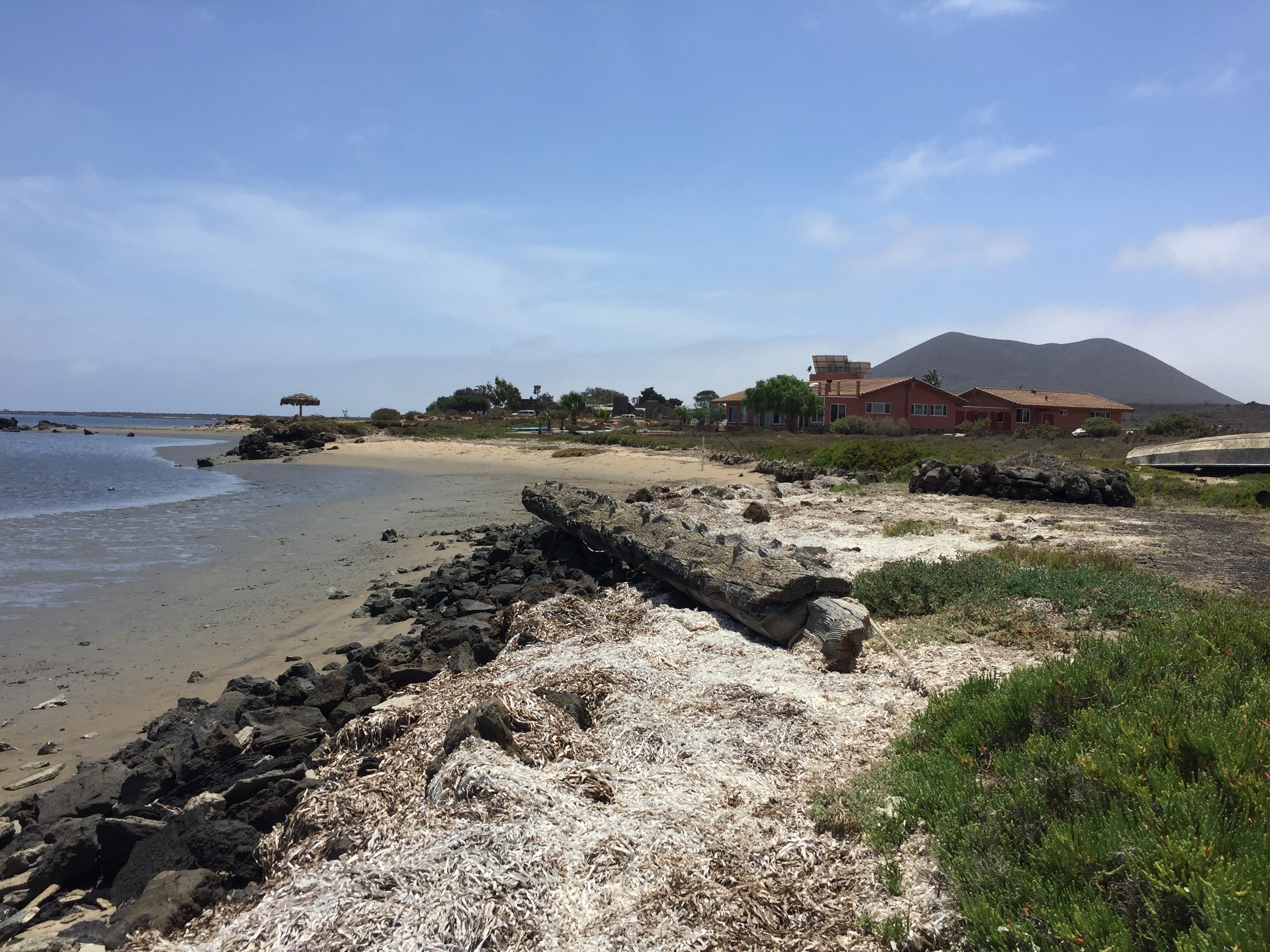 Bienes Raíces en San Quintín Baja