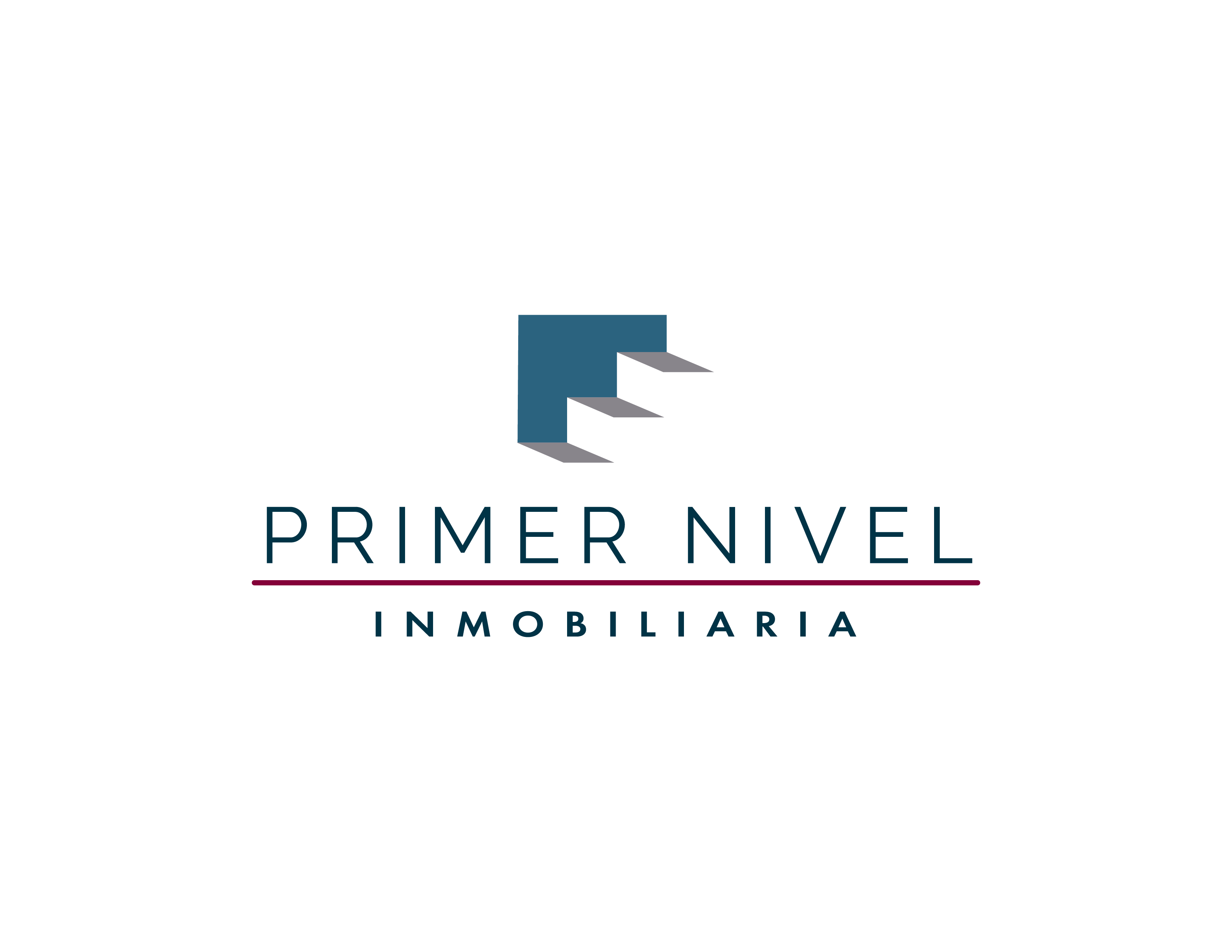logo_PrimerNivel_color.png