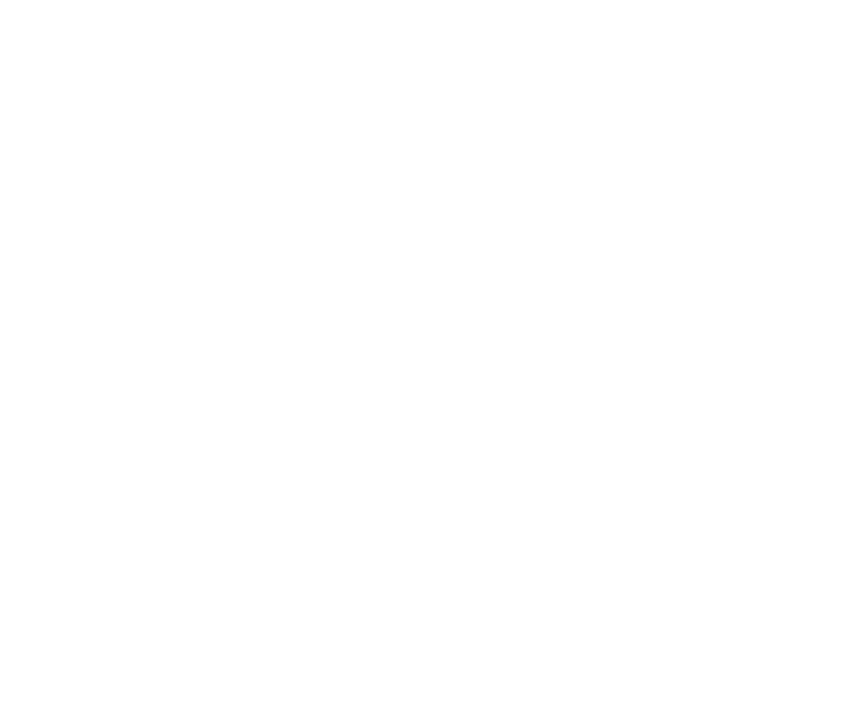 Logo_LYBR_II.png