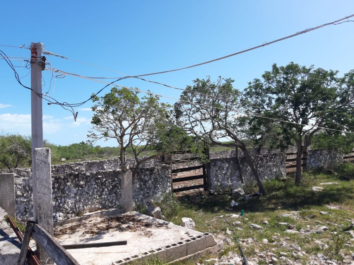 RANCHO EN VENTA EN SANTA CLARA, YUC. A 5 MIN. DE LA PLAYA. 22 HAS