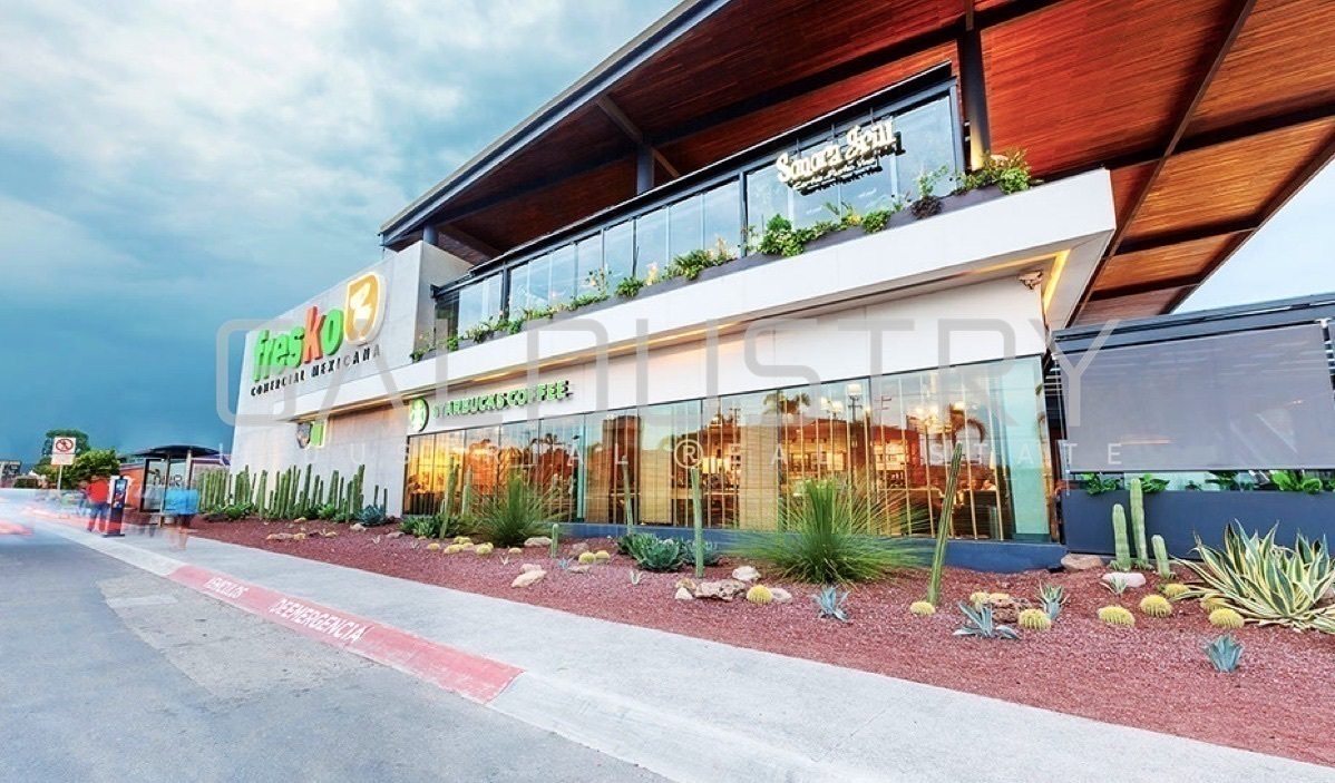 converse unisex size