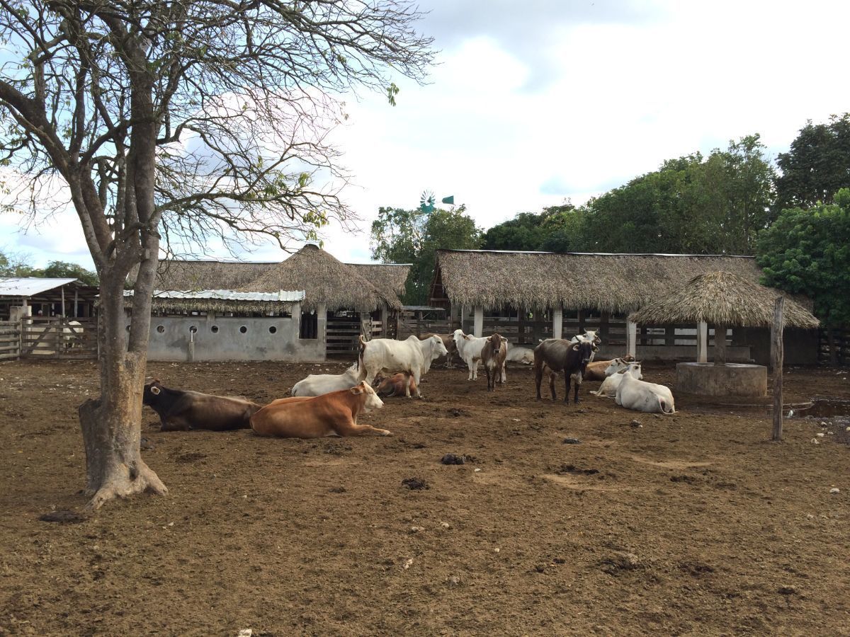 Rancho Agropecuario de Primera | EasyBroker