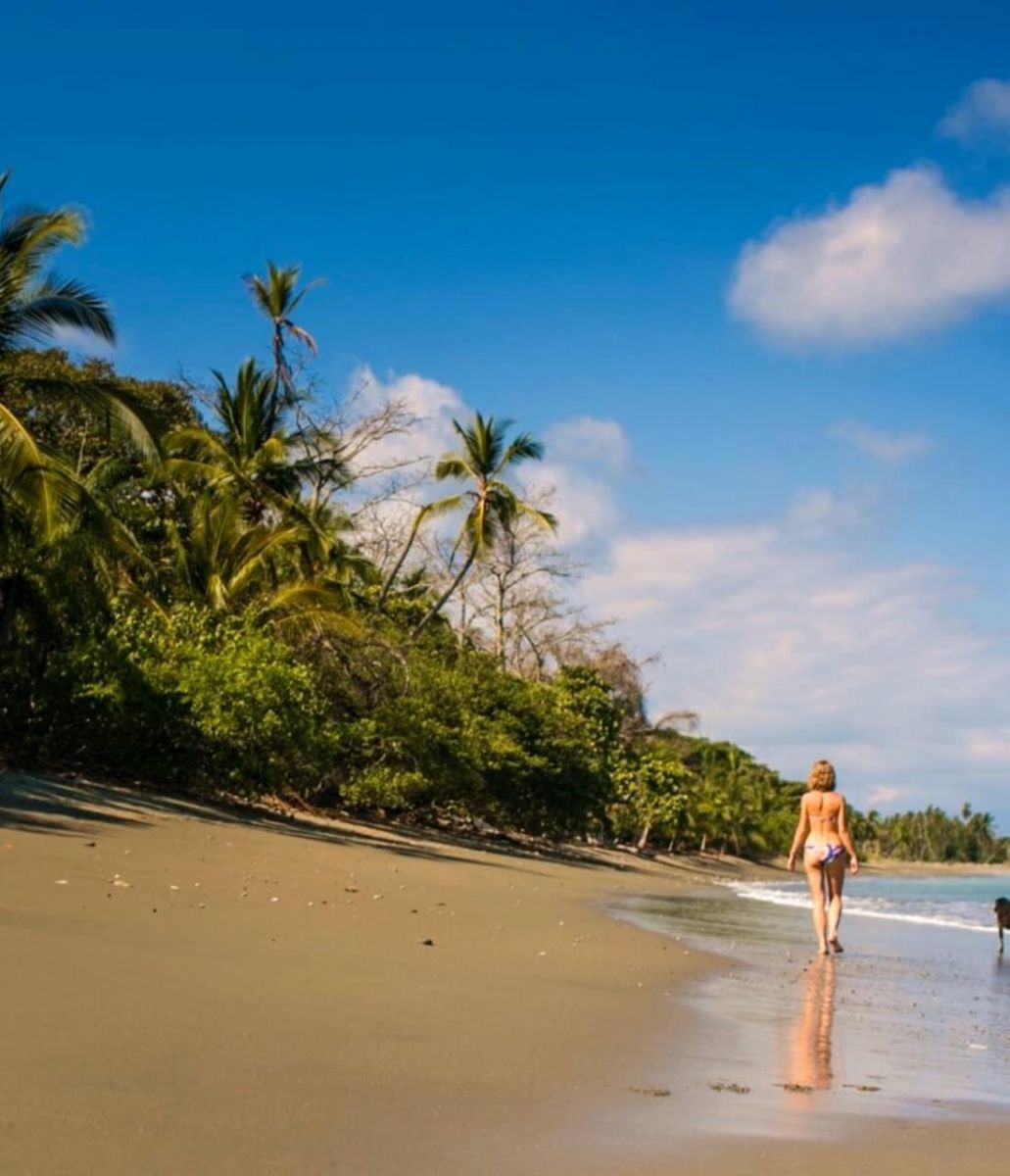Self sustaining Beachfront Estate Just North of Cabo Matapalo