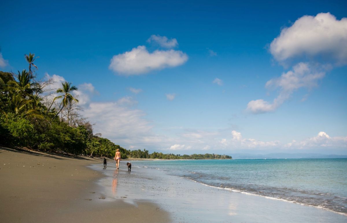 Self sustaining Beachfront Estate Just North of Cabo Matapalo