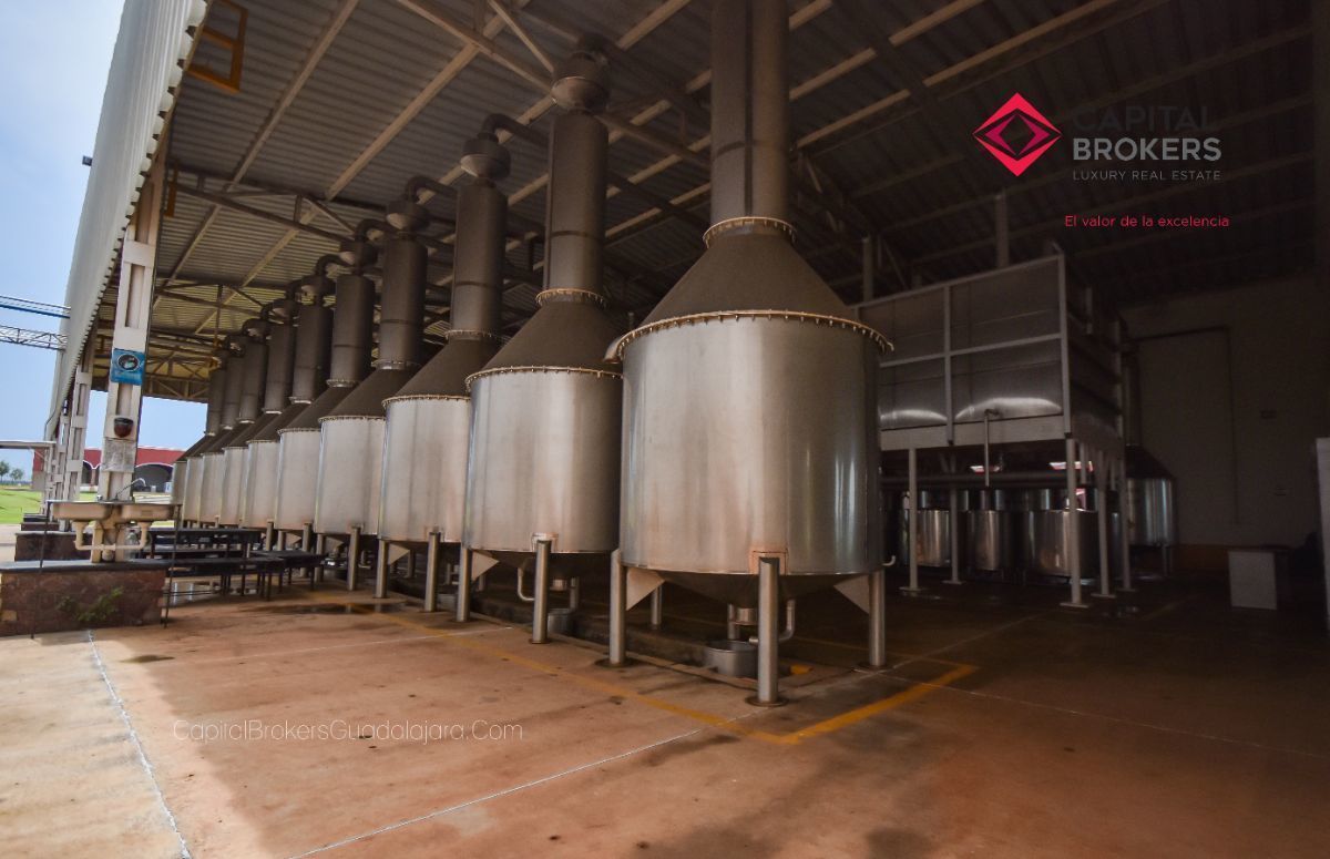 Hacienda Tequilera en Arandas Jalisco México