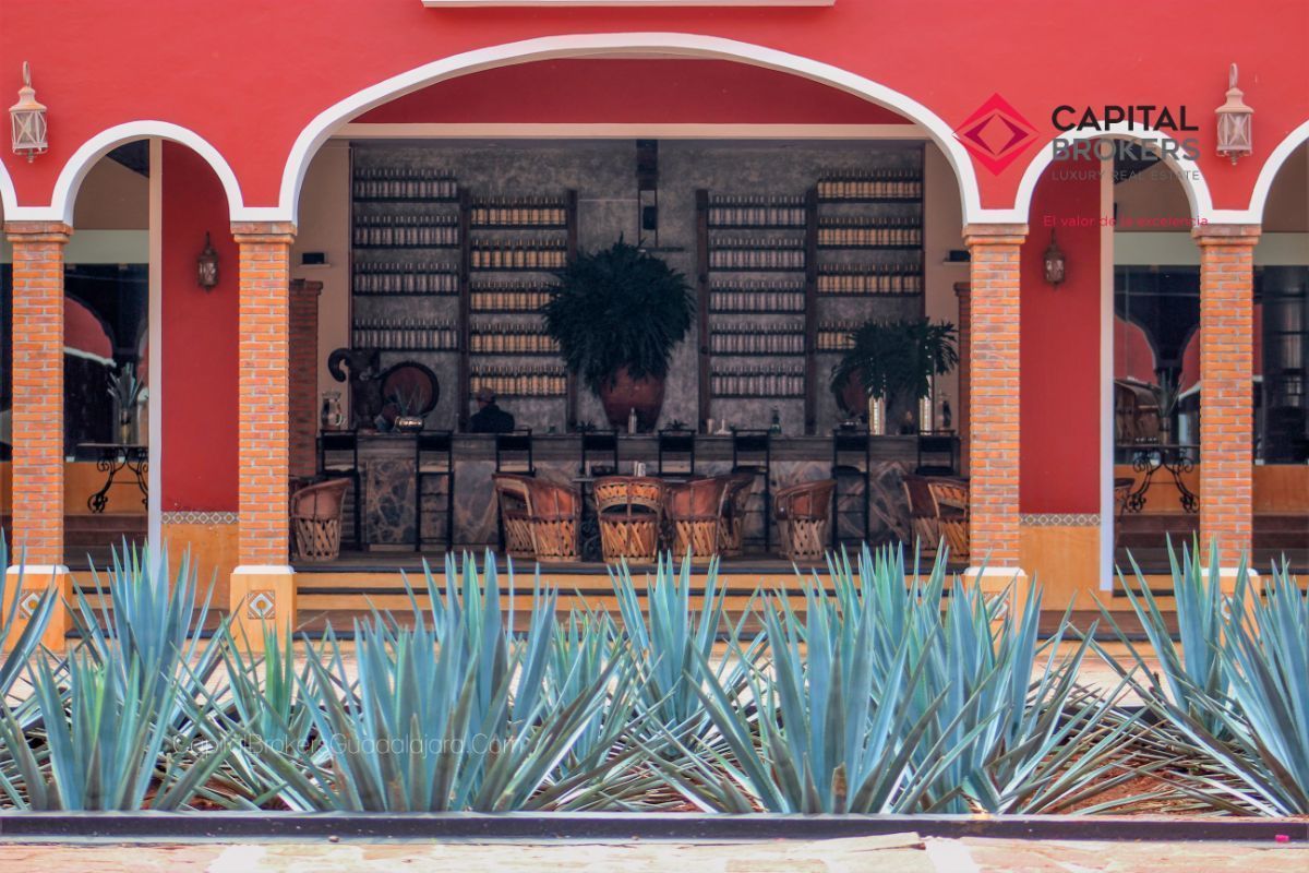 Hacienda Tequilera en Arandas Jalisco México