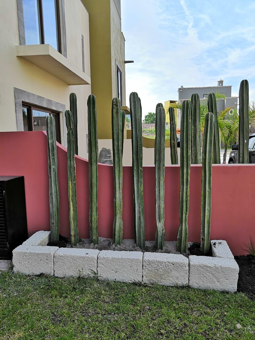 CASA CON JARDIN