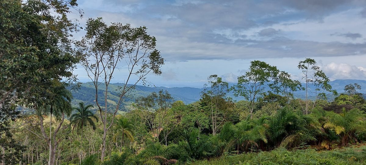 Ocean view farm ideal for development in San Salvador, Baru