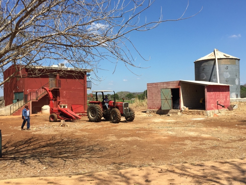Rancho en Venta Hecelchakán Campeche EasyBroker