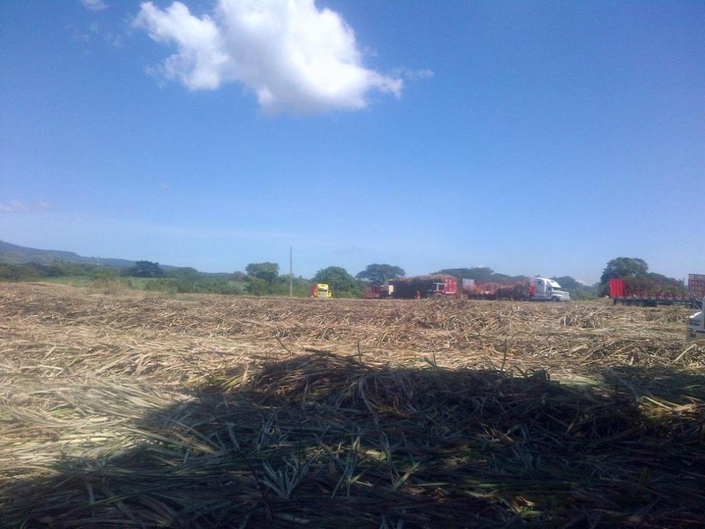 FINCA DE CAÑA 162mz ZACATECOLUCA CALLE VIEJA PARA SAN VICENTE *dv *CEA.TA