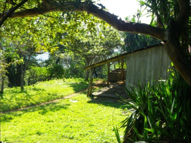 FINCA DE CAFE TIPO QUINTA EN JUAYUA SONSONATE 3.7mz