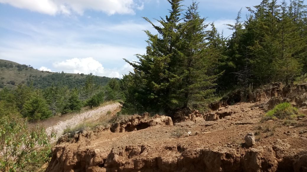 Terreno en Acambay de Ruiz Castañeda,