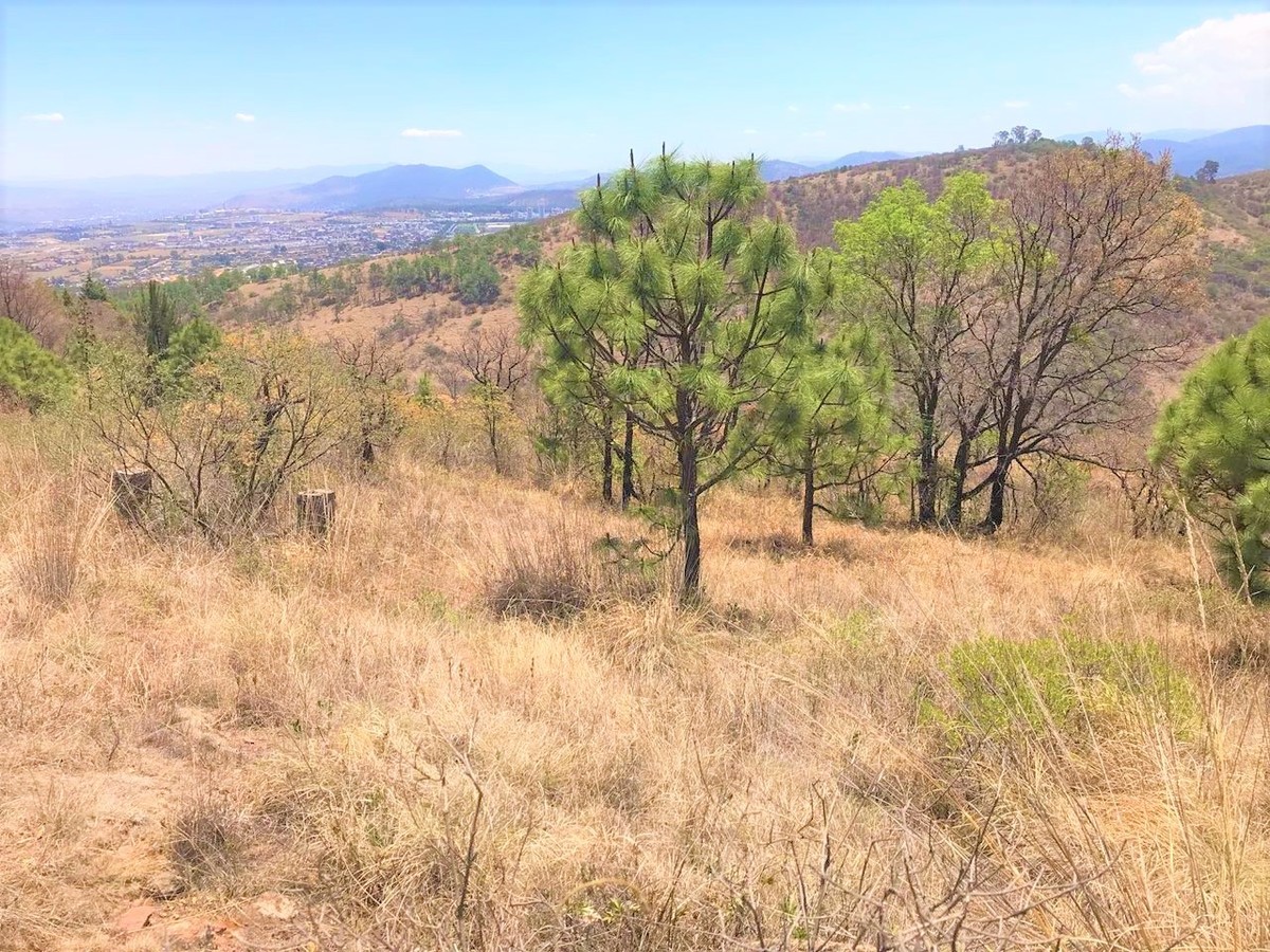 Terreno en venta en Morelia, Cerro Verde