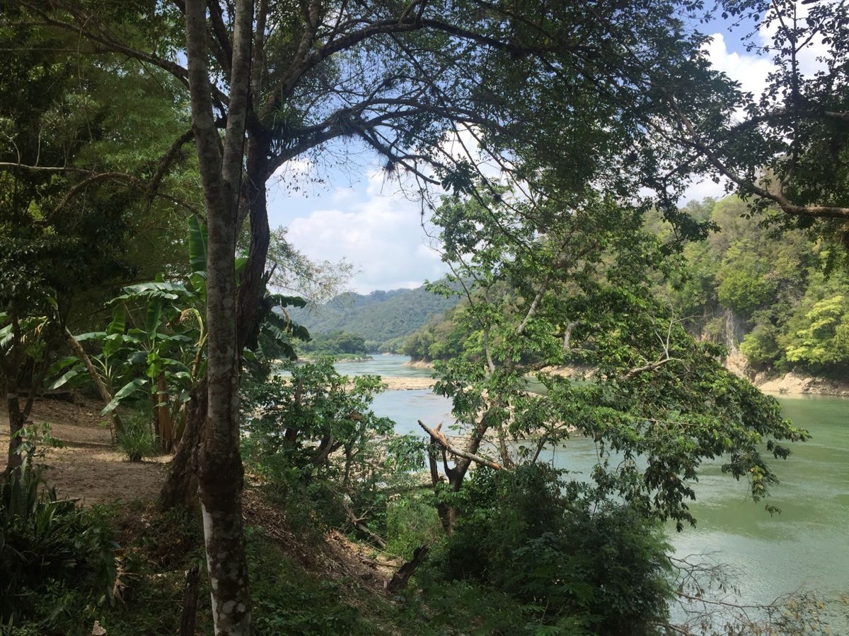 RANCHO FORESTAL Y ECOTURISTICO DE 34 HECTÁREAS EN PALENQUE, CHIAPAS