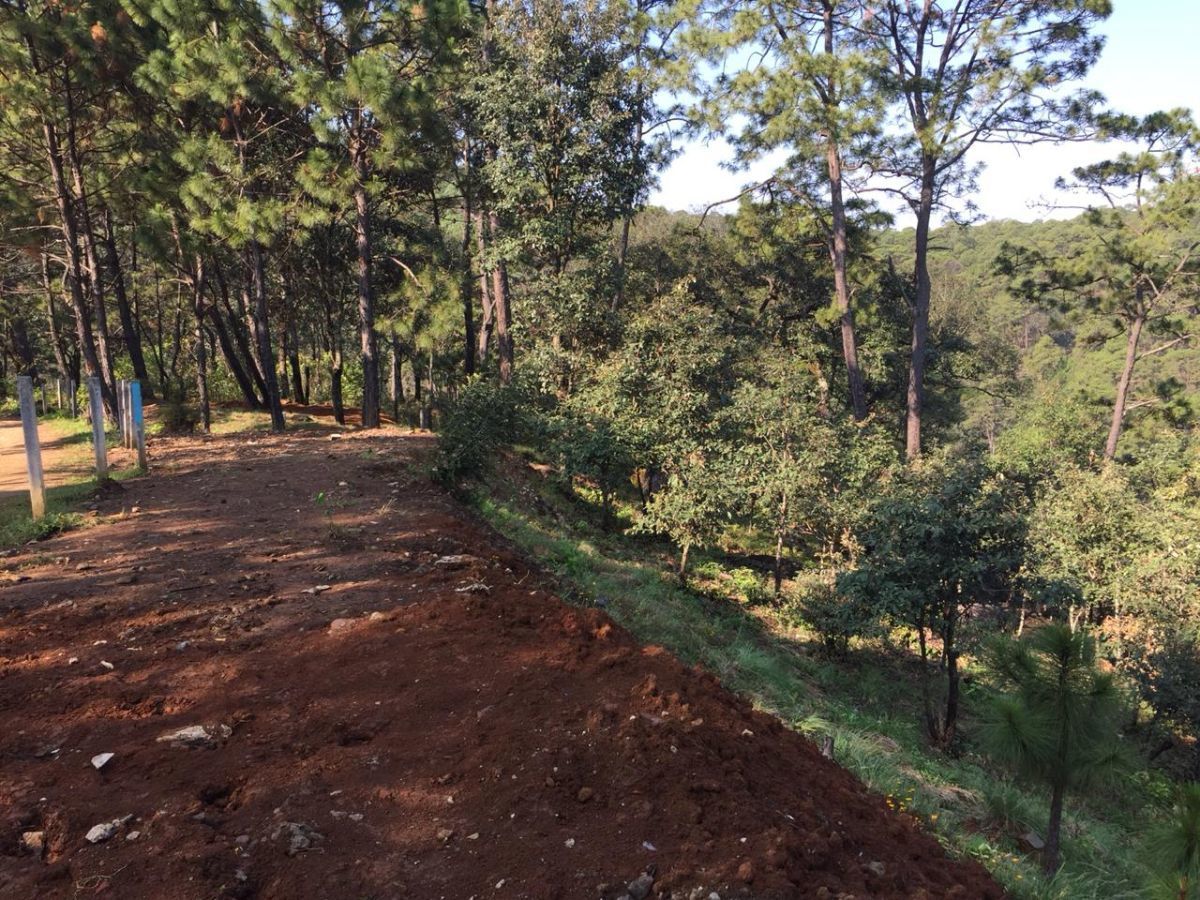 Terreno comunal en venta en Avandaro, Valle de Bravo