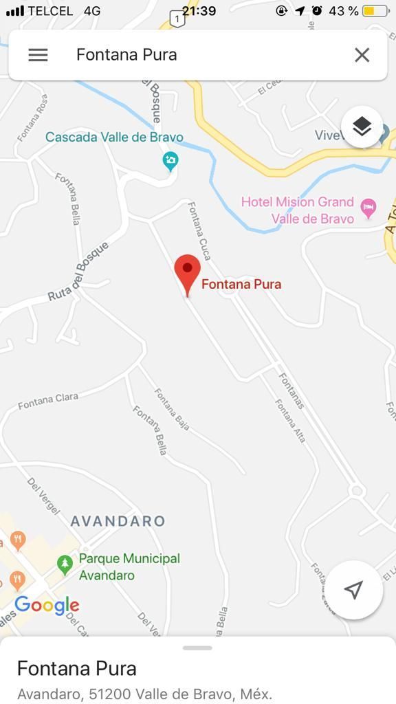 adidas falcon bd8077