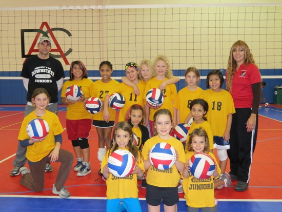VolleyBees