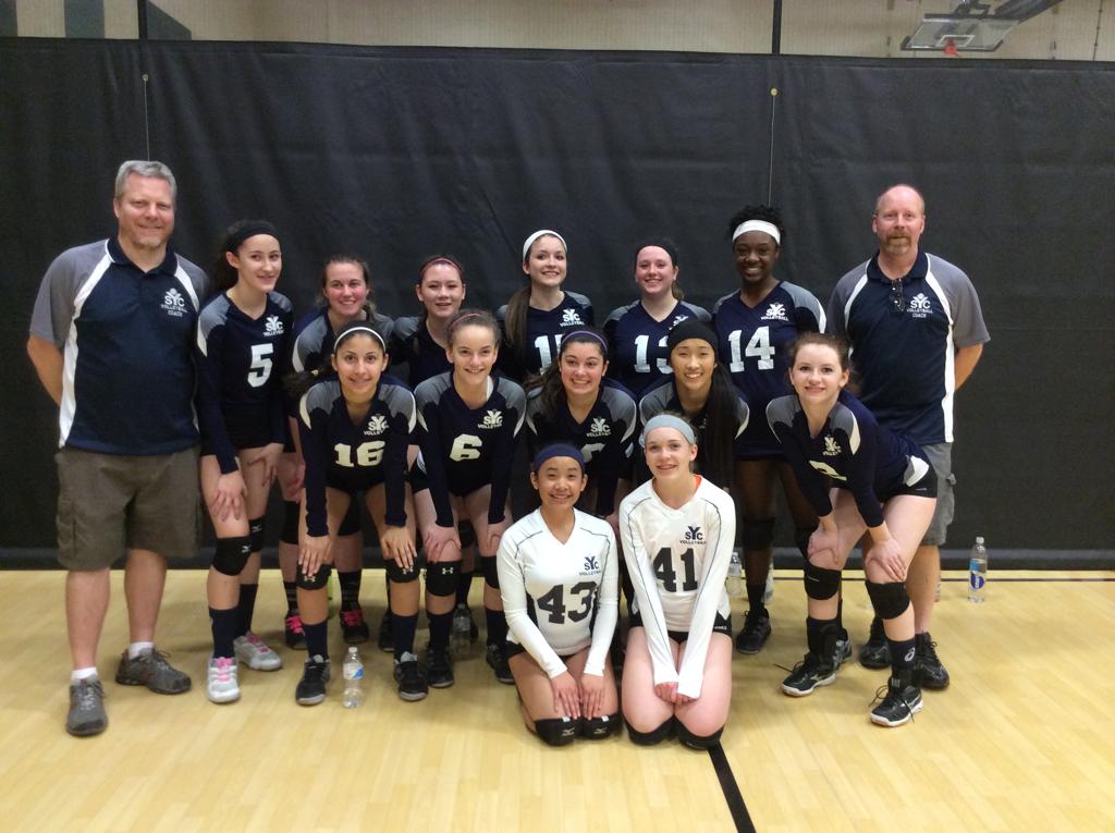 High School Travel Volleyball Teams