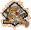Hhha_20logo_element_view