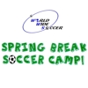 Spring_break_camp_square_logo_element_view