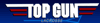 Topgun_logo_element_view