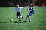 MUSTANGS IN ACTION