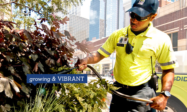Minneapolis Downtown Improvement District Growing & Vibrant