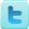 Twitter Icon
