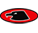 Ice Hawks Logo