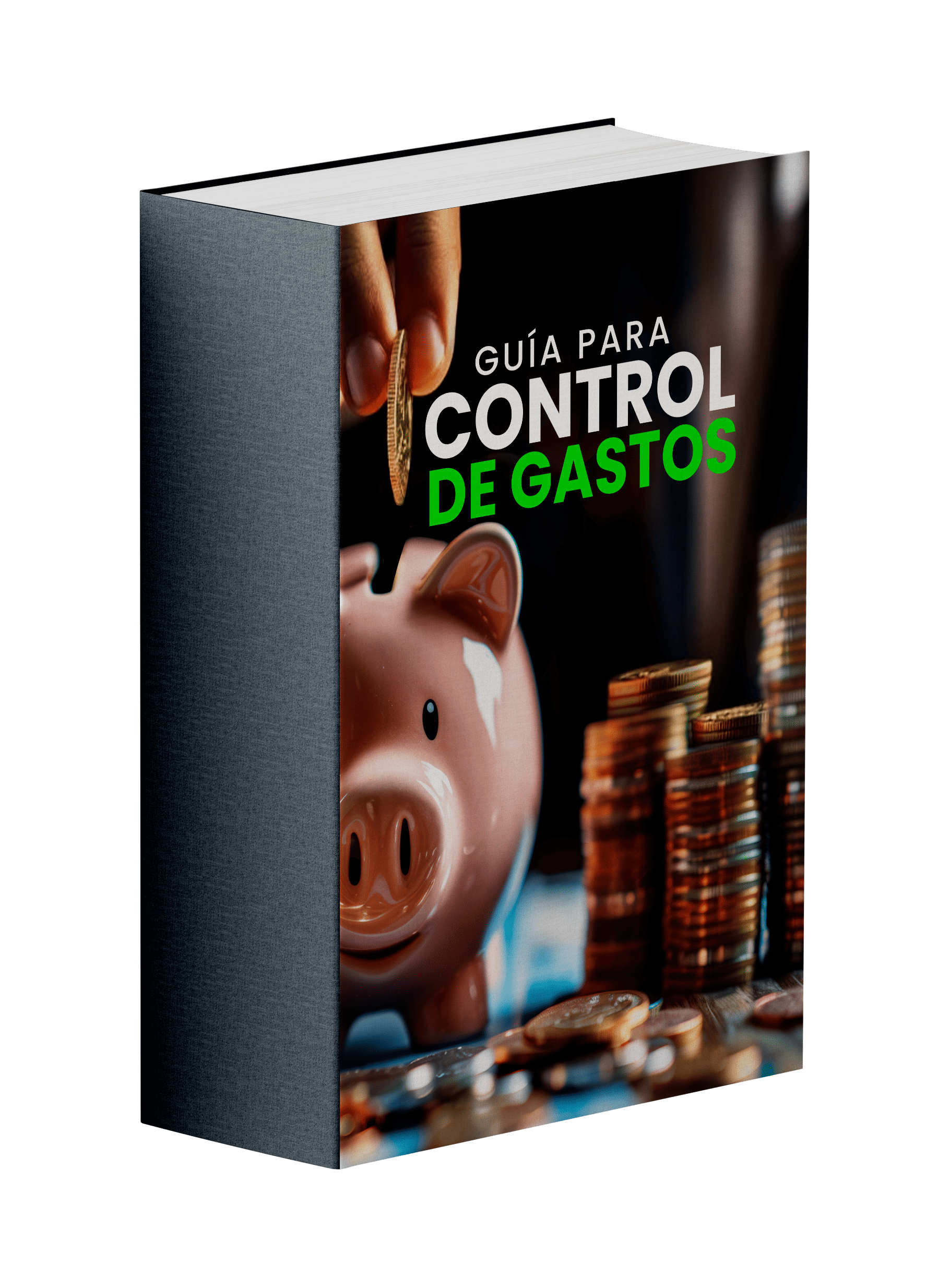 contenido 2