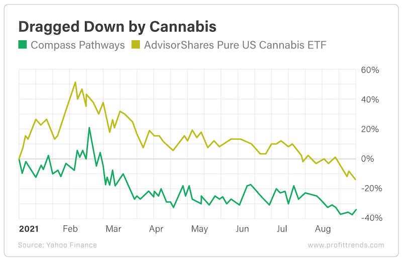 Dragged down by cannabis