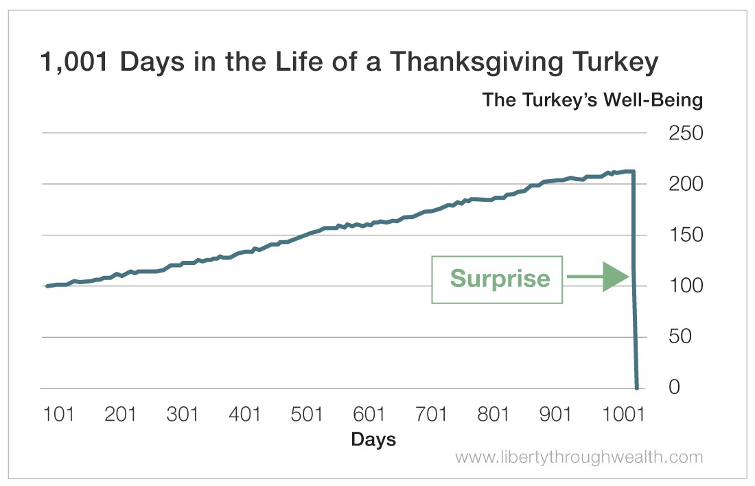 1,001 Days in the Life of a Thanksgiving Turkey