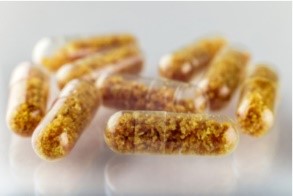 Fecal Transplants