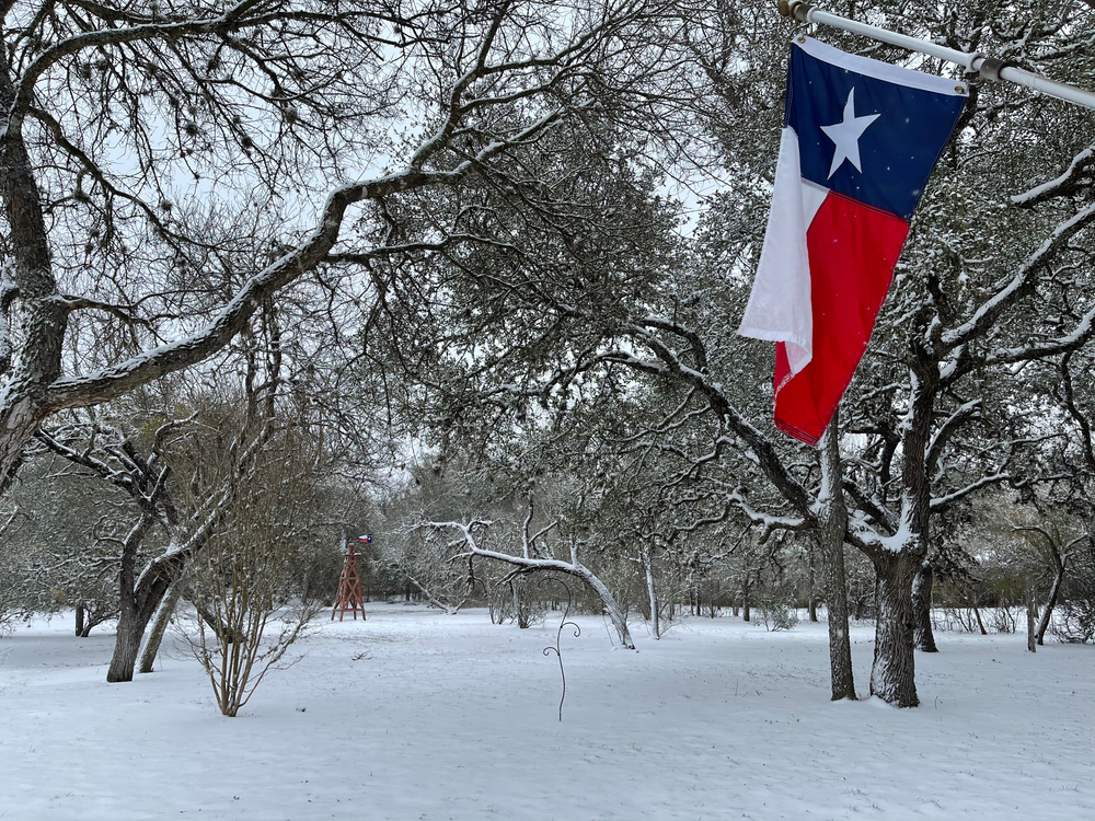 Texas Snow