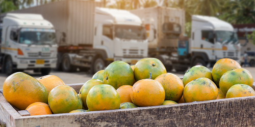 Fruit Trucks