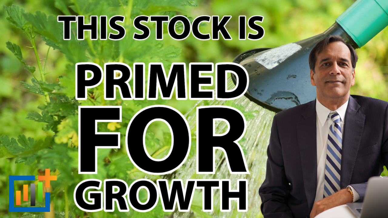 Primed For Growth Hero Image