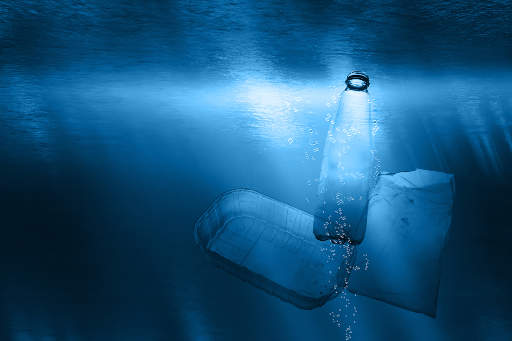 Karim in on This Promising Stock