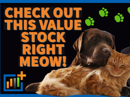 Right Meow Stock